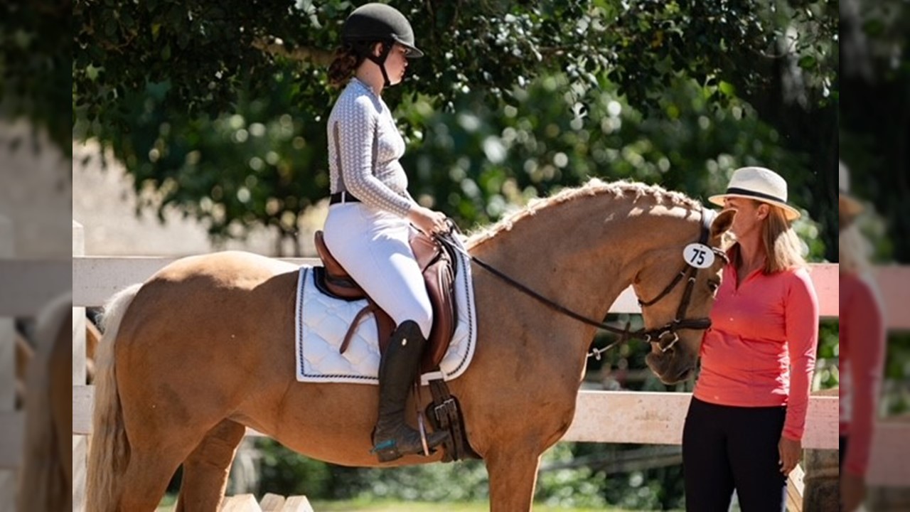 ALOHA, E KOMO MAI! - YourDressage