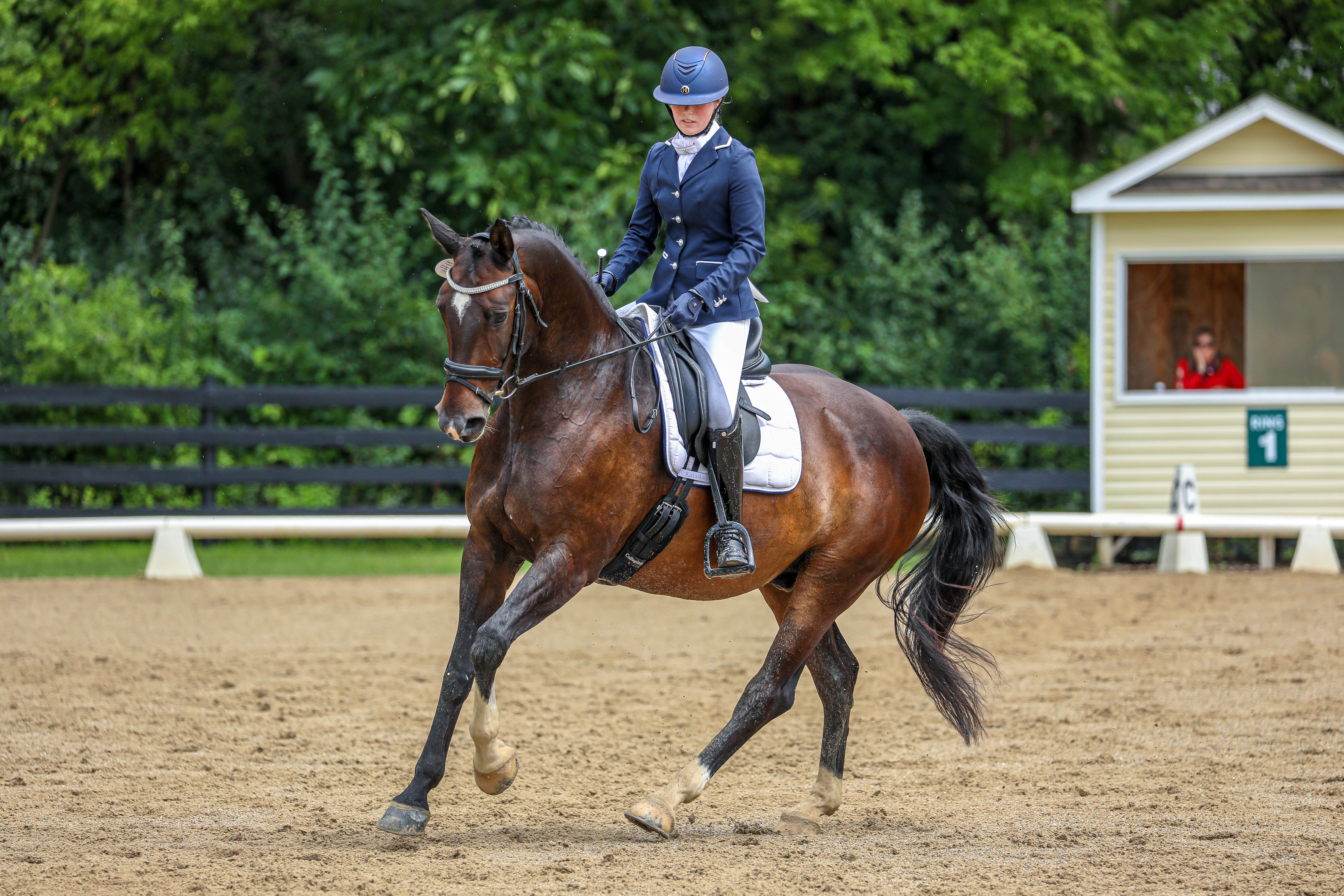 From Homebred Hopeful to Bronze Medal Partner